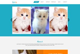 靜態的貓咪寵物網站模板html下載