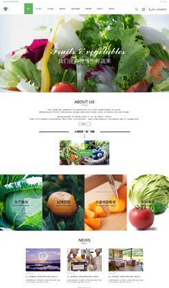 綠色清新的響應式蔬菜水果生產類企業靜態HTML網站模板